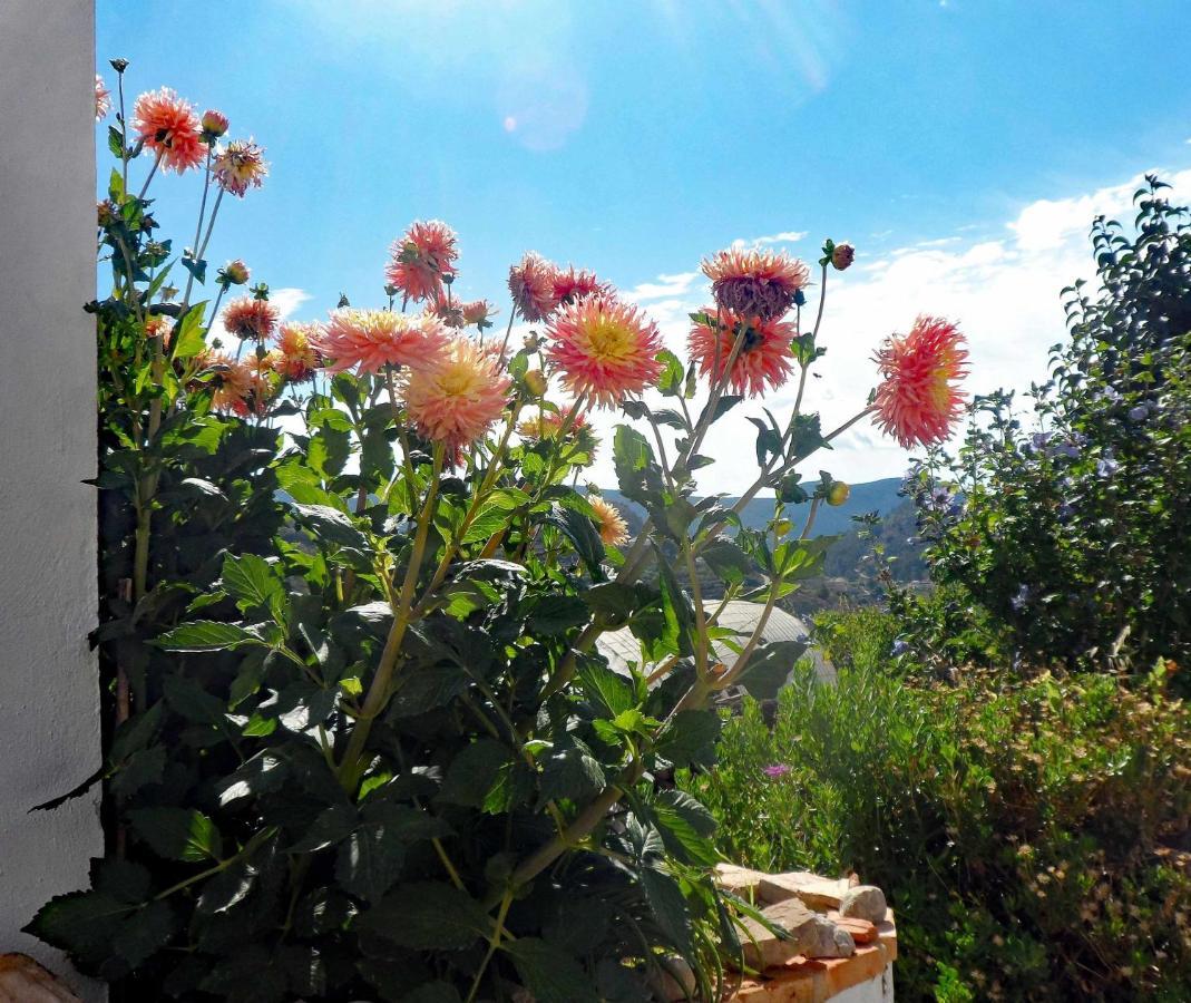 Charming House Ideal For Couples And Young Familie Tarbena Экстерьер фото